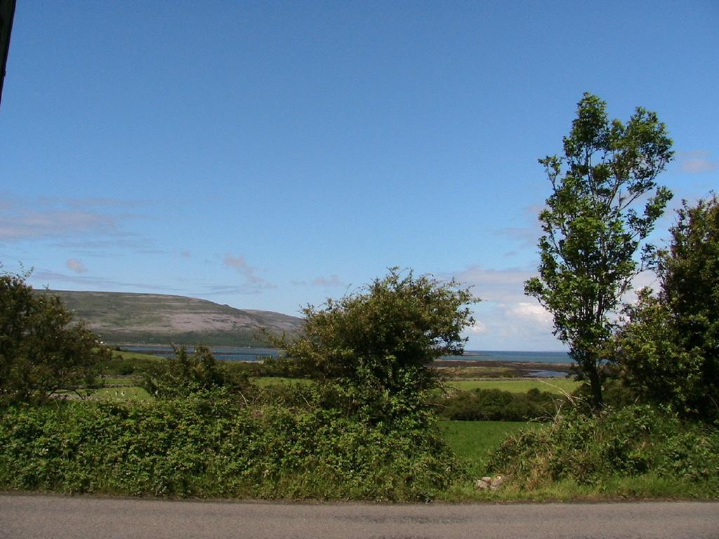 Drumcreehy Country House B&B Ballyvaughan Exterior foto