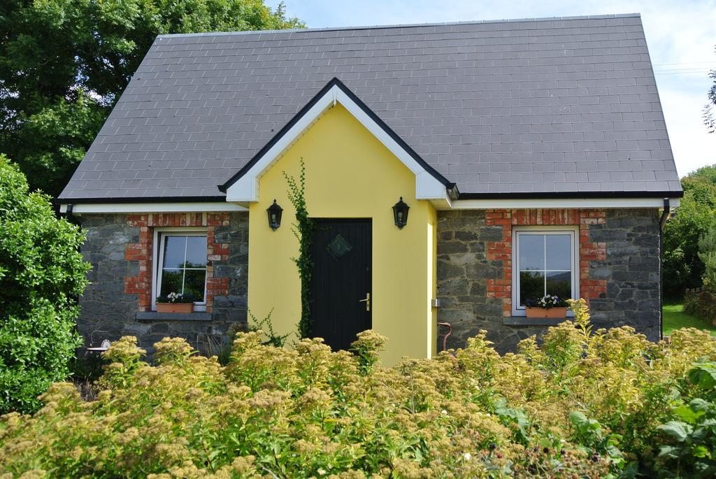 Drumcreehy Country House B&B Ballyvaughan Exterior foto